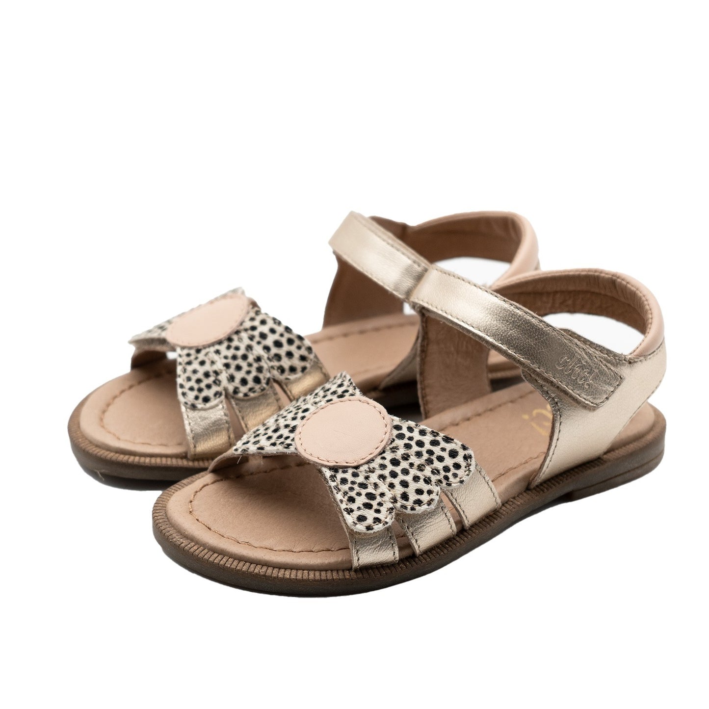 Clic Sandale mit Flügel und Animalprint