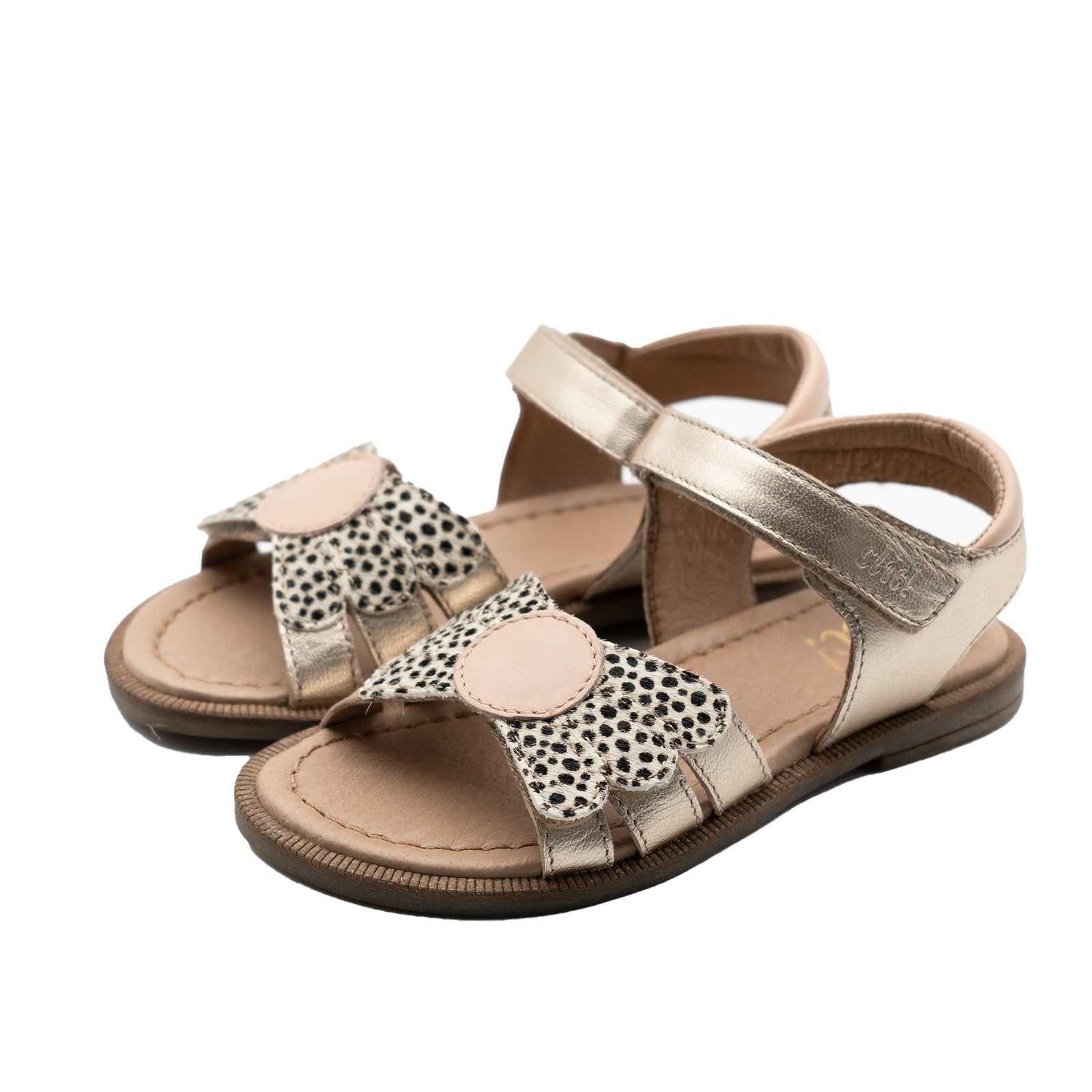 Clic Sandale mit Flügel und Animalprint